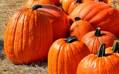 5 Fall Festival Ideas For Church